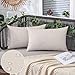 MIULEE Copricuscini per Divano Impermeabili Federe Cuscini all'Esterno Rettangolari Decorativi per Camera da Letto Soggiorno Giardino Federa Elegante in Poliestere Fodere Casa 30X50 CM Beige
