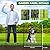 10 Panels Garden Fencing Animal Barrier, 33 in(H) X 24 ft(L) Dog Fence Outdoor for Yard Rustproof No Dig Decorative Tall Garden Fence Metal Wire Panel Border Patio Rabbit Ground Stakes Fencing
