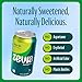 Zevia Zero Sugar Soda, Ginger Ale, 12 oz Cans (24-Pack) – Naturally Sweetened, Non-GMO Project Verified, Gluten-Free, Vegan