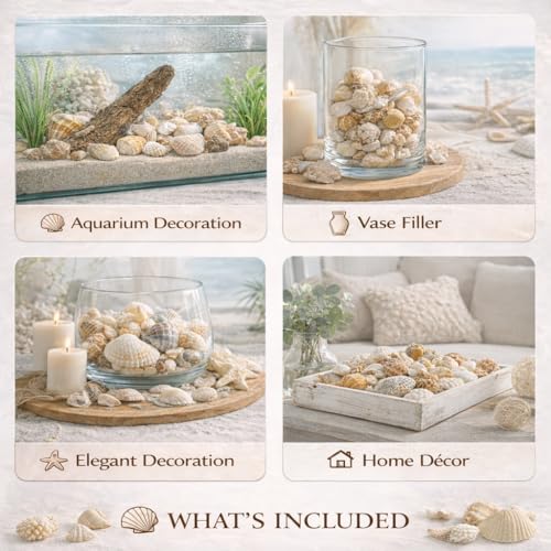 Image of Nivip Mixed Natural Seashells 450g - Different Sizes (2-6 cm), Unique Shapes & Colors for Aquarium, Vase Filler, Beach Decor, DIY Crafts, Resin Art, Home Decoration