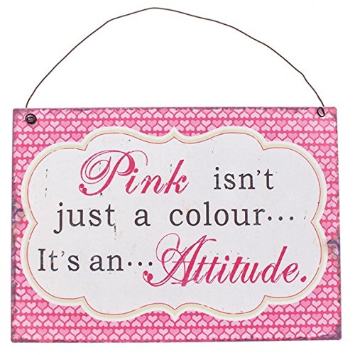 Pink Isn't Just A Colour, It's An Attitude - Metal Wall Plaque