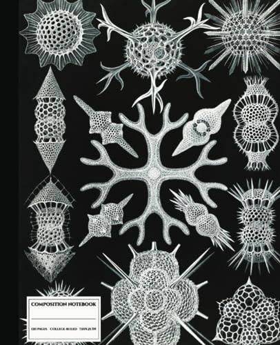 Composition Notebook College Ruled: Spumellaria Spectacle: Microscopic But Beautiful: |Ernst Haeckel Ocean Life Themed Journal Perfect for Girls, ... Men, Scientists, Art Lovers and Students