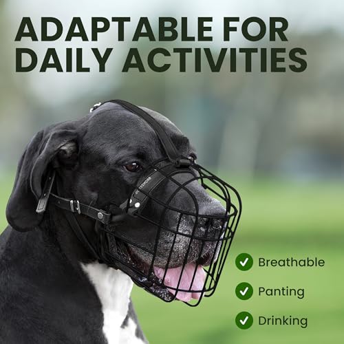 BRONZEDOG Hundemaulkorb Verstellbar Robustes PVC/Metalldrahtkorb für Große und Sehr Große Hunde mit Lederbändern Atmungsaktiv, Trinkfähig, Training, Verhindert Beißen (Great Dane, PVC)