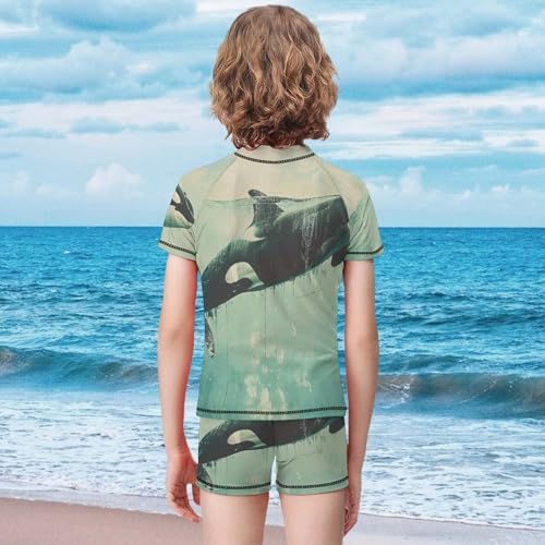 Killer Whale SwimmingChildren's Casual Swimsuit Set - Simple and Versatile9-11Y（140cm）2