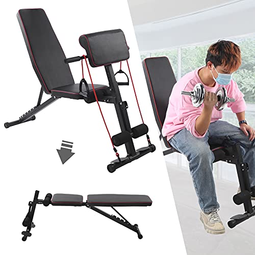 Zerone Verstelbare halterbank, multifunctionele opvouwbare halter buikzittende fitnessbank, meerdere niveaus, in hoogte verstelbare lichaamswork-out, gewichtsbank, 50 x 30 x 38 cm - Image 5