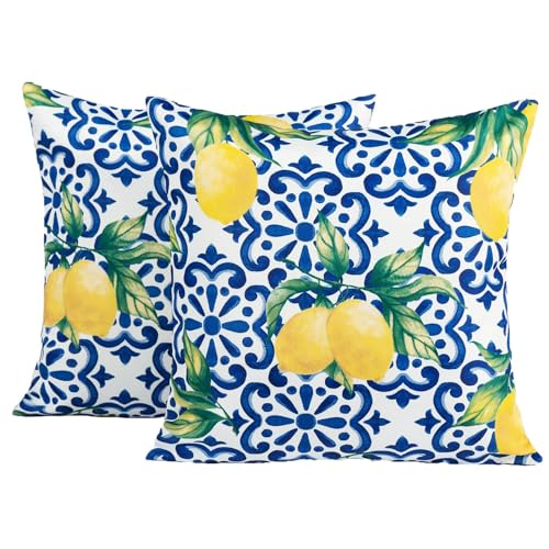 OHS Lot de 2 Coussins d'extérieur à imprimé Citron - Résistants à l'eau - pour Meubles de Jardin et canapé - Super Doux et Confortables - Bleu - 114,3 x...