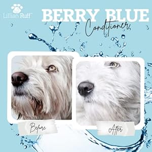 Lillian ruff berry blue brightening face and body conditioner for dogs  cats  tear free blueberry conditioner  remove tear stains hydrate dry skin add shine  luster to coats  made in usa 16oz   cucciolini doodles