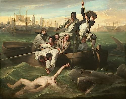 Art tableau Watson et le requin impression d'art sur toile premium 60x90cm