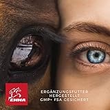 Pferd Aufbaufutter + Amino Booster 6 kg 30ml Pulver Muskelaufbau Pferde Aminosäuren Sojaschrot Protein Pferd | Vitamin E Selen B-Komplex Zink Biotin Muskel Plus Ergänzungsfutter Muskulatur Gewicht