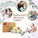 Bath Bombs Gift Set Large 12 PCS 2.8oz Organic Natural Essential Oils, Relax and Moisturize Skin, Luxury Spa Bomb Gifts for Girl, Mom, Kids, Wife, Birthday, Valentine's Day, Anniversary