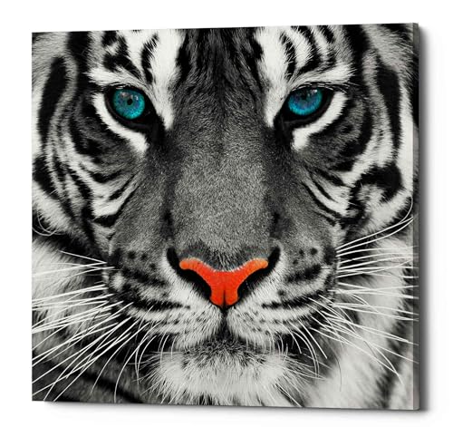 Epic Graffiti 'Thrill of the Tiger' Canvas Wall Art, 26