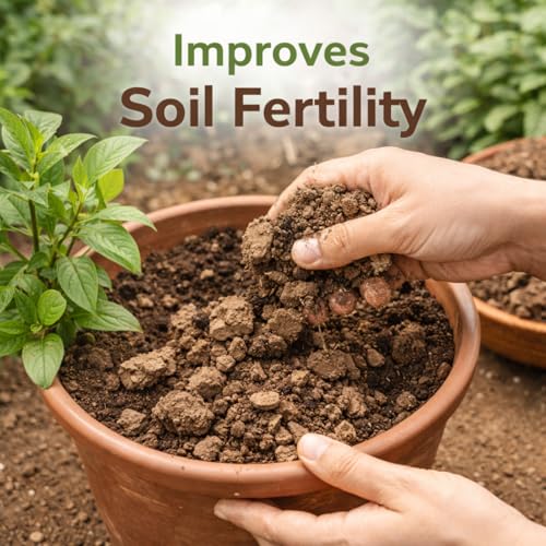 Image of Black Soil for Garden (Kali Mitti) | Natural Chikni Mitti Clay for Plants | Gardening Soil for Home Garden | 3600g