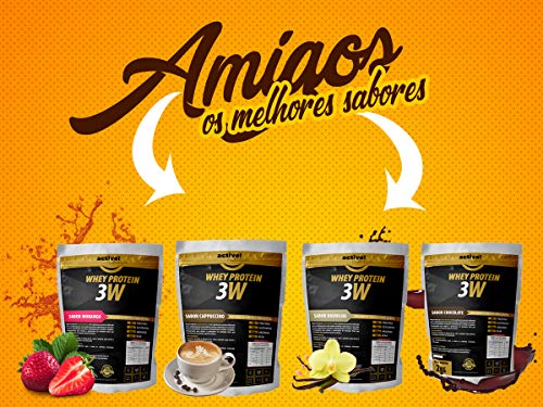 Whey Protein 3w Isolado Hidrolisado Concentrado 4kg (Baunilha)