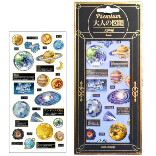 Premium l̐} V[ y V̕ z    FV[ zn RNV 7RabbitRiograndeIWiXebJ[t yWo^ԍ 6667215z