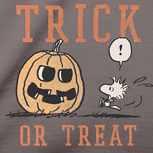 Nite Nite Munki Munki Family Long Sleeve Tee and Pant Vintage Peanuts Pajama Set4