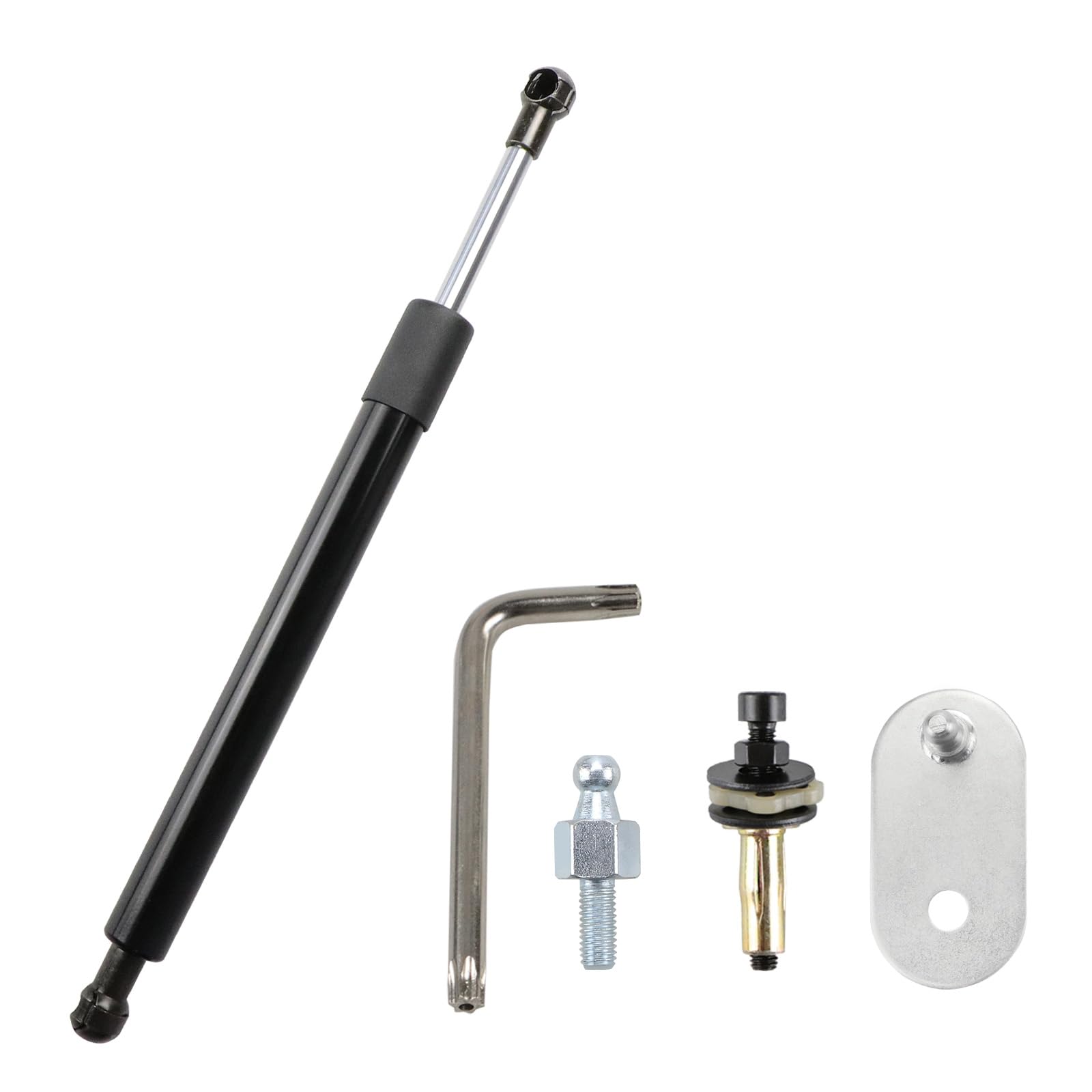 Amazon.com: Rear Truck Tailgate Assist Shock for 02-08 Ram 1500
