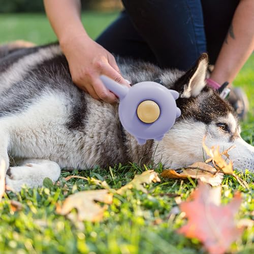Image of ๐๐๐ญ ๐๐๐ข๐ซ ๐๐ซ๐ฎ๐ฌ๐ก, Cat Brush with Release Button, Pet Hair Cleaner Brush Cat Grooming Brush, Pet Comb Cat Brushes for Indoor Cats, Self Cleaning Cat Brush for Deshedding (Purple)