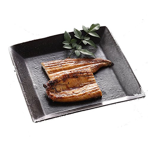 【ご自宅用】豊橋うなぎ蒲焼き カット500g (1枚45-65g) (約5人前) [簡易箱]