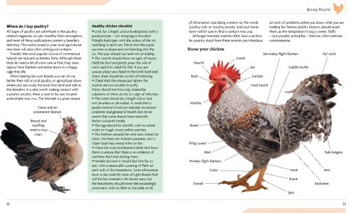 image for Brand: Firefly Books Mini Encyclopedia of Chicken Breeds and Care: A C