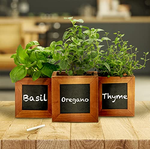 Zestigreens Indoor Herb Pots For Herbs, Succulents, Or Small Plants. 3 X Indoor Plant Pots With Waterproof Liner Included. #TOP1