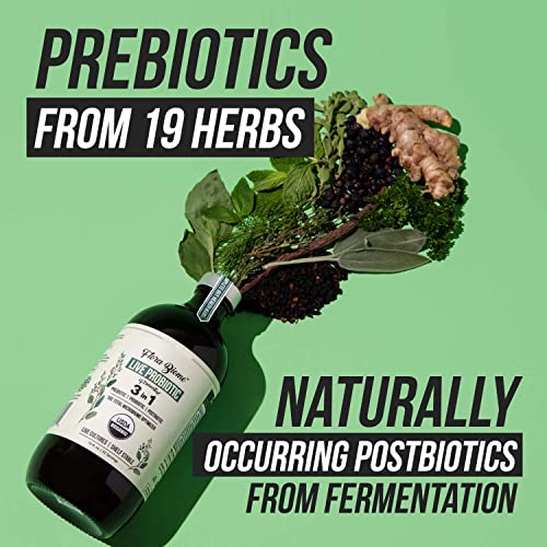 Flora Biome - Live Probiotic, Prebiotic & Postbiotic – Organic, Fermented Live-Culture – 10 Probiotic Strains, 19 Fermented Herbs, 50 Billion Cfu - Complete Gut Health & Microbiome Optimizer (16 Oz) #TOP6