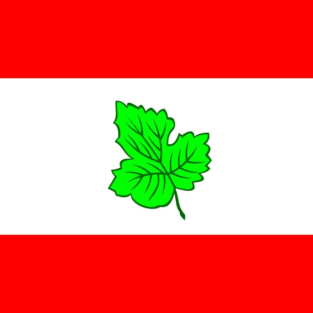 Drapeau Large Gema pour décorer vos grands événements et fêtes de village