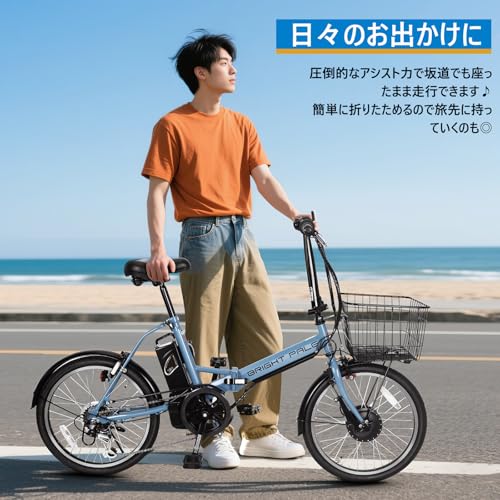 BRIGHT PALE 電動アシスト自転車 BRT-206-EB の商品画像 6