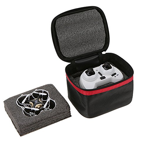 Cheerson CX-10C 6-Axis Gyro 0.3MP Camera RTF Mini Drone Quadcopter & Nylon Box