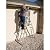 Little Giant Ladder Systems 17' Aluminum Multi Position Ladder w/Work Platform