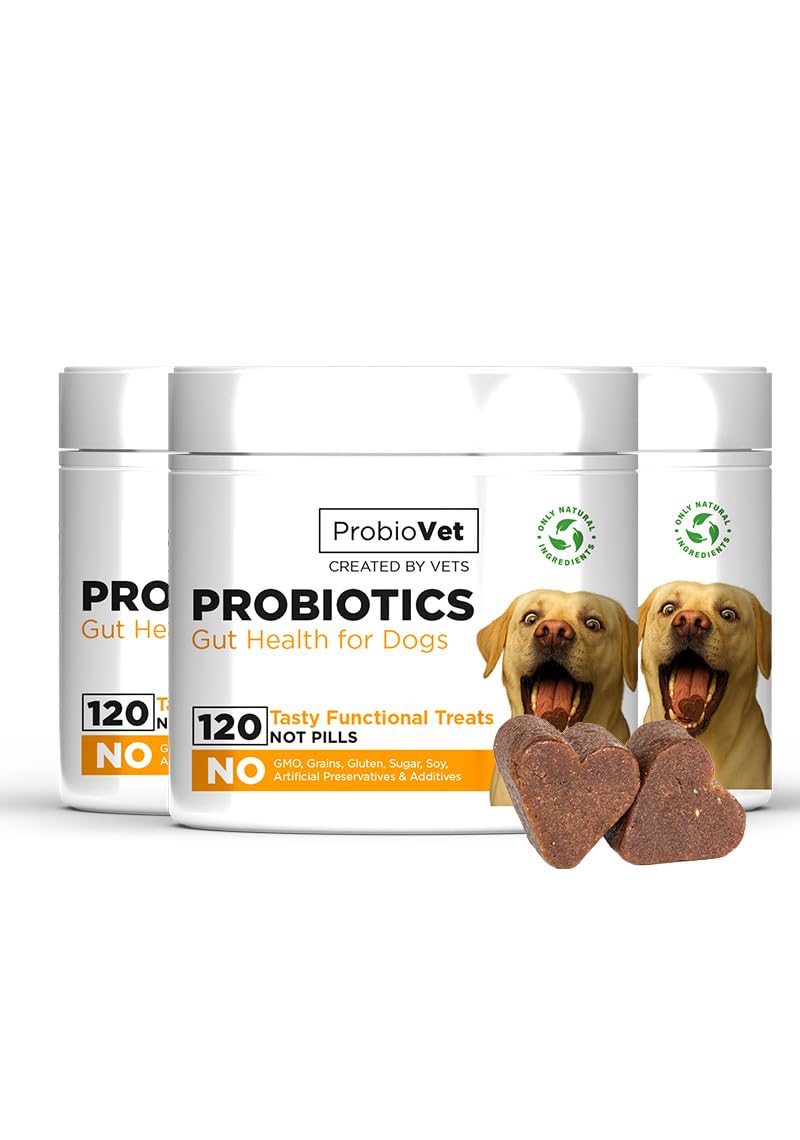 Probiotique Chien - 360 Bouchées Flore Intestinale & Immunité - Prébiotiques (Inuline de Chicorée) - Digestion Sensible, Anti-Diarrhée & Gaz - Transit & Vitalité - Complément Naturel