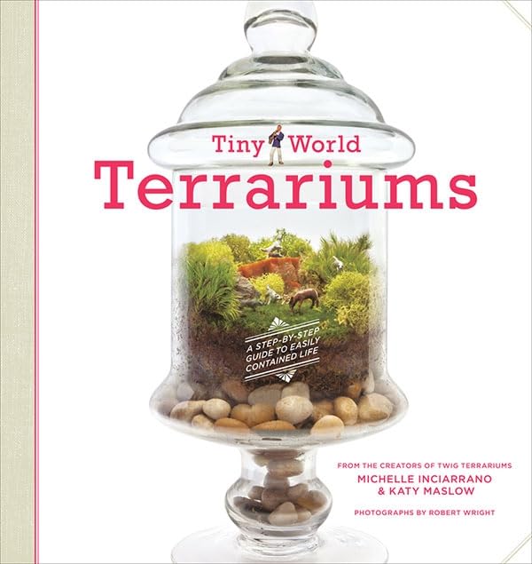 Tiny World Terrariums: A Step-by-Step Guide