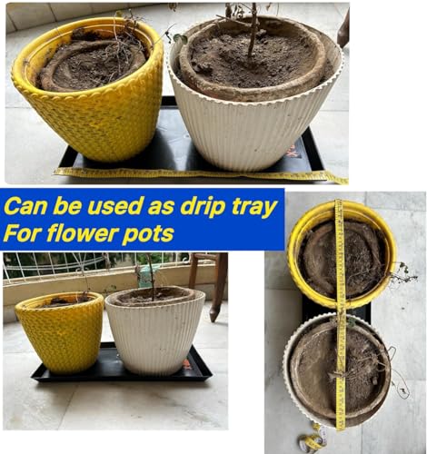 Image of Pioneer-x Drip Tray for Tall Tubular Battery (Superstrong), 53 x 22 cm, Black, Protective Container Base