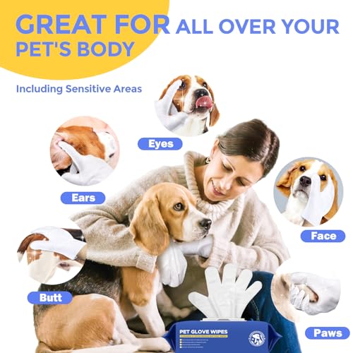 Image of Pet Cleaning Glove Wipes for Dogs & Cats, Hypoallergenic Deodorizing Disposable No-Rinse Grooming Wipes, Wipes, Perfect for Pet Dry Cleaning, Daily Care and Travel, Coconut Scent, 8 pcs