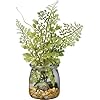   Primitives-by-Kathy-Small-Maidenhair-Fern-Glass-Jar-Planter