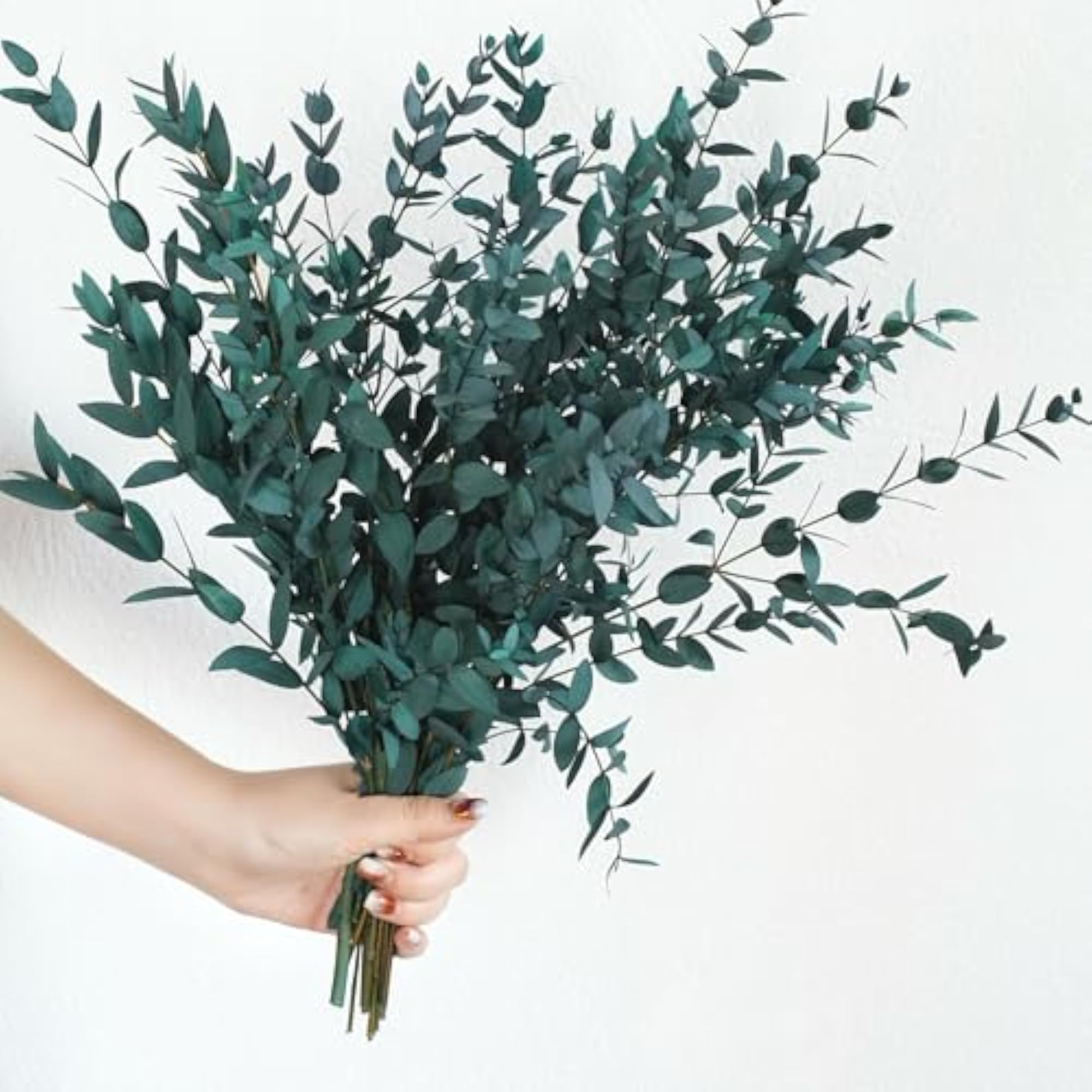 Dried Eucalyptus Leaves, 8-14 Pieces for Decor