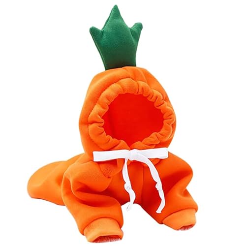 Roupa de inverno quente respirável com capuz cenoura moda gato roupa reutilizável decorativa moda