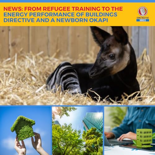 NEWS: From Refugee Training To The Energy Performance of Buildings Directive And A Newborn Okapi cover art