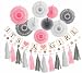 Pink White Grey Baby Boy Baby Shower Decorations/Grey Elephant Baby Shower| Pink Baby Shower Decorations for Girl | Its A Girl Party Decor | Garland Banner |Photo Props and Decor Pink