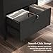Bush Furniture Salinas 2 Drawer Lateral File Cabinet in Vintage Black, Home Office Storage Solution, Organizer with Drawers for Workspace, Filing Unit