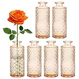 Ensemble de Cadeaux Parfait: Ces petites vases en verre au design unique sont un cadeau inoubliable, unique et élégant. Ils sont très adaptés pour être offerts à la famille et aux amis, afin de transmettre votre affection et votre attention, et conviennent également parfaitement comme cadeau de fête.