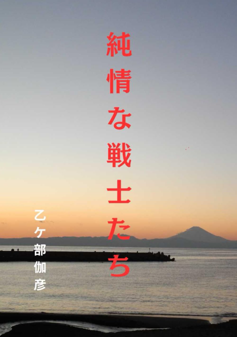 純情な戦士たち　改訂版: ある若者たちの戦いの記録