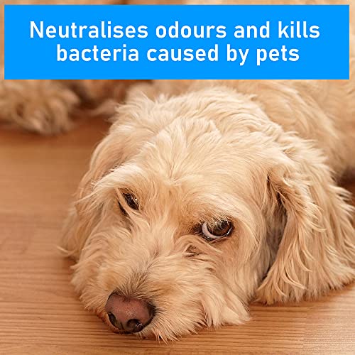 Pro-Kleen 2 x 5 litres Steam Detergent Ocean Fresh Fragrance for Steam Mops + Built in Water Softener - Image 6