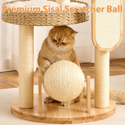 Torre para gatos pequeña moderna con poste rascador miniatura 5