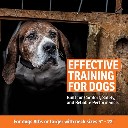 SportDOG NoBark SBC-R display