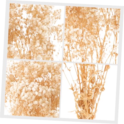 Bouquet de flores secas Babysbreath blanco natural para decoración miniatura 7