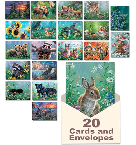 Leanin' Tree, Nature's Wonders, Greeting Cards Assortment Box, Assorted Cards with Envelopes, All Occasion, 20 Cards, 22 Envelopes