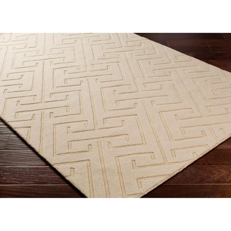 Image of Hand Tufted Modern Design Exported Collection High Low Pattern Wool Carpet for Living Room, Bedroom & Hall (Beige C, 4 x 6 Feet)