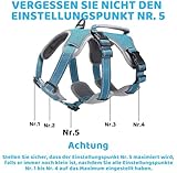 BELPRO Mehrzweck-Hundegeschirr, ausbruchsicher, kein Ziehen, reflektierend, verstellbare Weste mit strapazierfähigem Griff, Hundegeschirr für große/aktive Hunde(Blau, S)