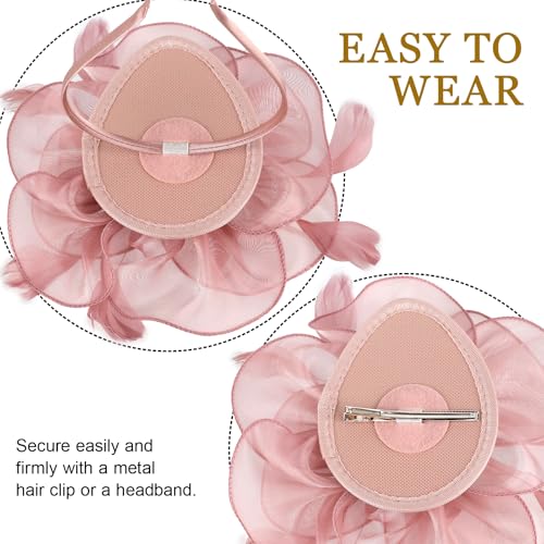 Image of DRESHOW Fascinators Hat Tea Party Headwear Ribbons Feathers on a Headband and a Clip for Women