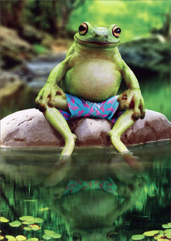 Avanti Press Lounging Frog in Blue Swim Trunks at Pond Funny / Humorous Father's Day Card
